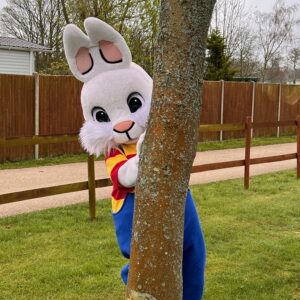 Tree Rabbit